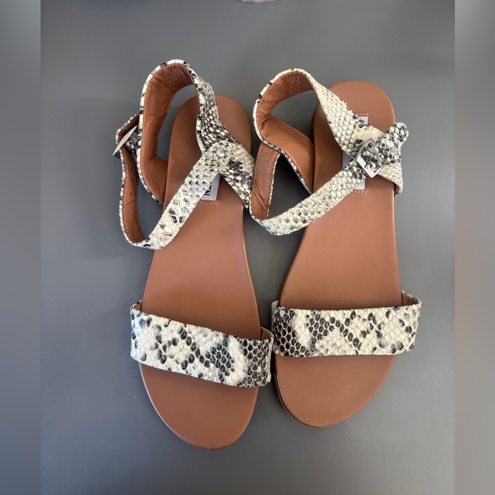 Steve Madden Women's Snake-Print Ankle Strap Sandals in Beige/Black